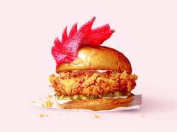 It was never the chicken's fault; Weird chicken burger