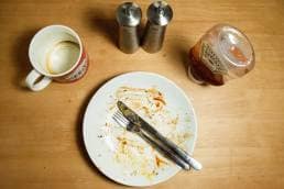 Chicken or Fish; empty plate after meal