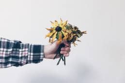 handing over dead flowers, handling objections, dealing with objections in sales