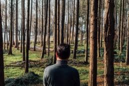 Putting trees in your field; Too many trees blocking man