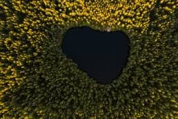 black hole in a field, think about the answer