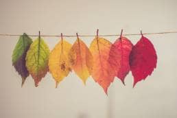 Change happens