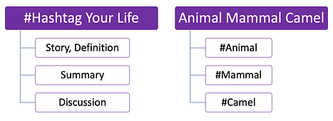 HYL chapters all use the Animal Mammal Camel structure